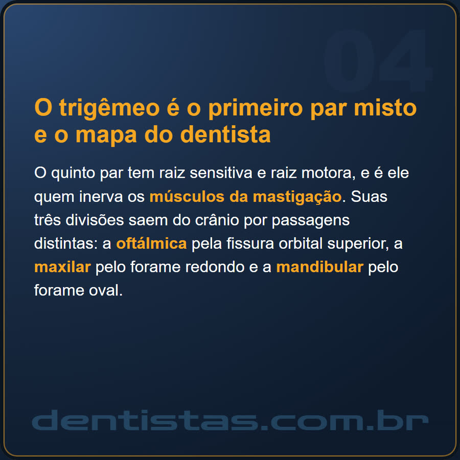 Slide 4 de 6 da edição