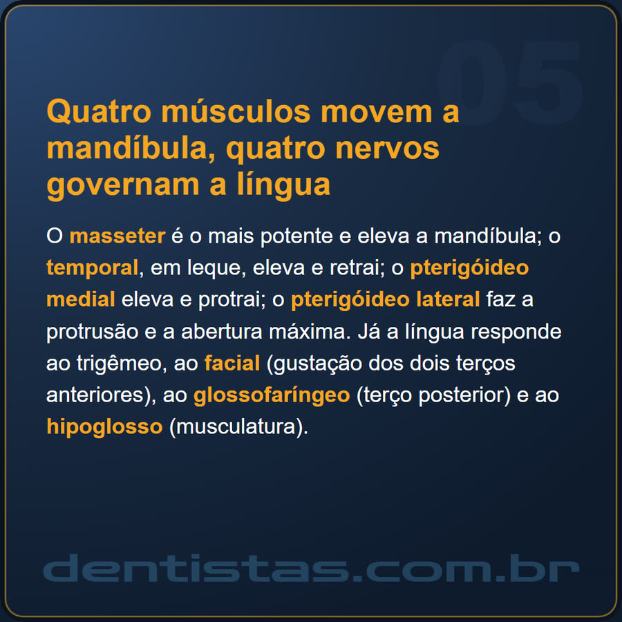 Slide 5 de 6 da edição