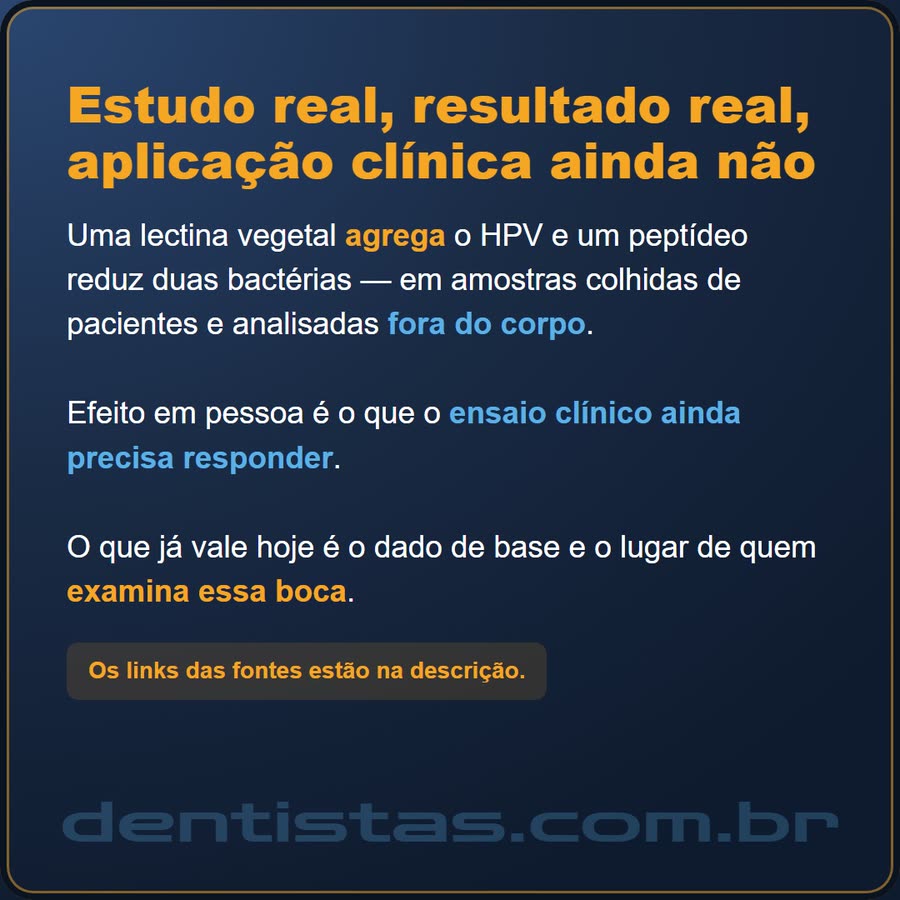 Slide 6 de 6 da edição