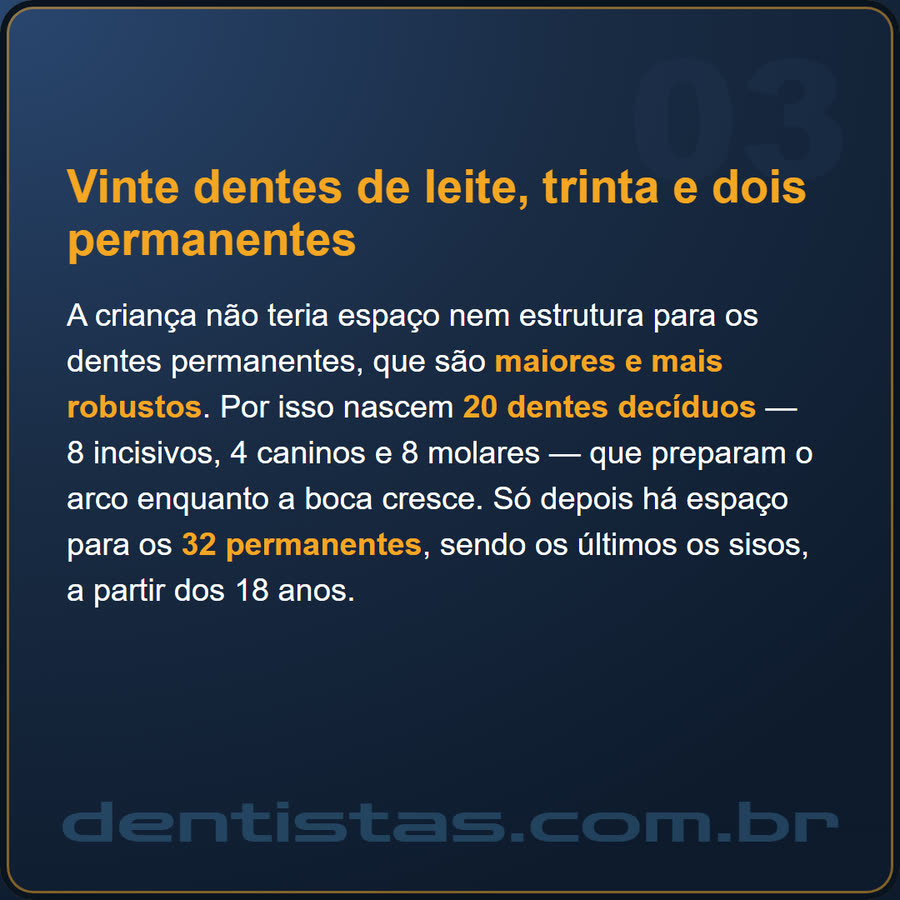 Slide 3 de 6 da edição