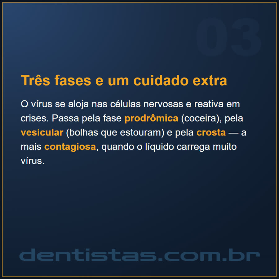 Slide 3 de 6 da edição