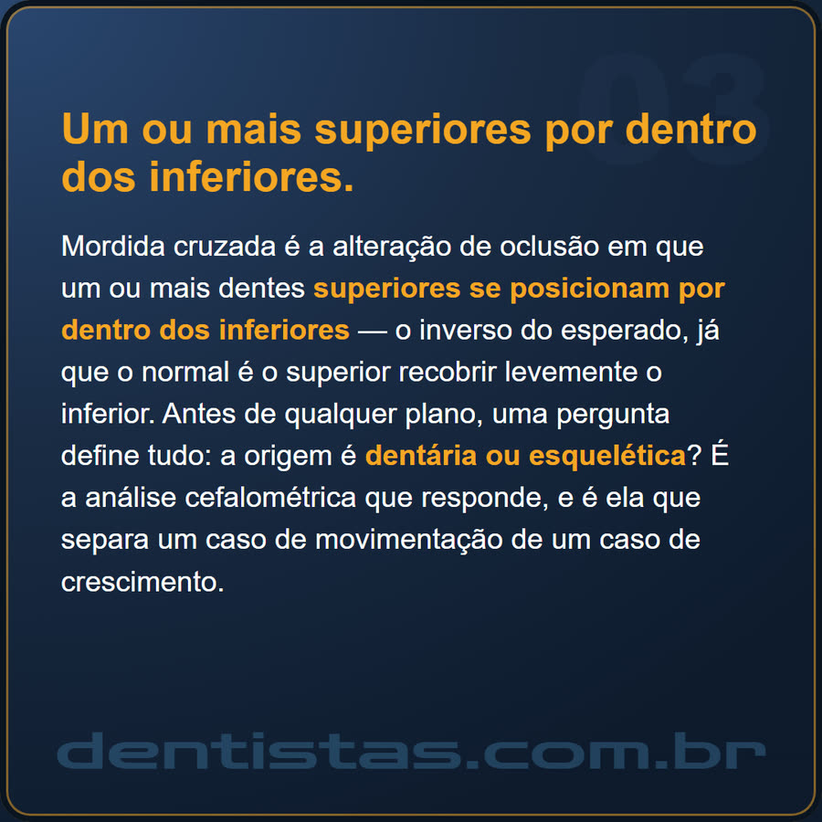 Slide 3 de 6 da edição